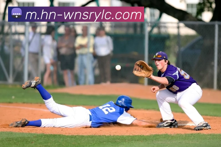 威尼斯人线上娱乐平台生态图